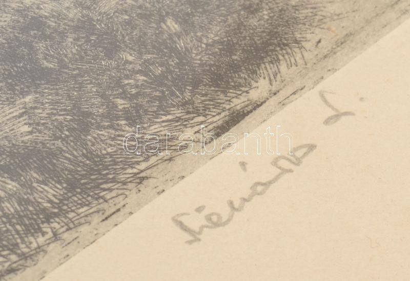 Mészáros Lajos (1925-1971): Lovasszekér. Rézkarc, papír, jelzett, lap széle kisé foltos, üvegezett fakeretben, üveg jobb felső sarkában törött. 24,5×34 cm - Image 2