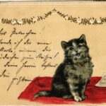 1902 Éneklő macska / Singing cat. Floral, Emb. litho (EK)