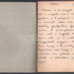 1943, 1946 2 db kézzel írt tinédzser napló, egyik szép rajzokkal. - Image 4