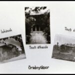 Örkénytábor - katonai tábor, fotóalbum repró negatívja, 11 kisfilm kocka tekercsben - Image 2