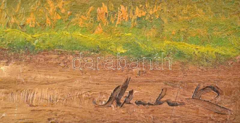 Olvashatatlan jelzéssel: Szénaboglyák. Olaj, vászon. Dekoratív fakeretben. 20×46 cm - Image 2