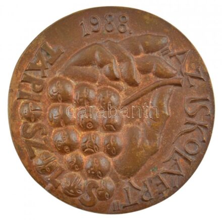 Rajki László (1939-) 1988. 'Házi Árpád 1908-1970/ Az iskoláért - Tápiószőlős' kétoldalas, öntött bronz plakett (100mm) T:1-