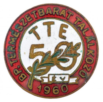 ~1960. 'TTE 50 év - Bp. Természetbarát Találkozó - 1960' zománcozott bronz jelvény T:1- apró zománchibák