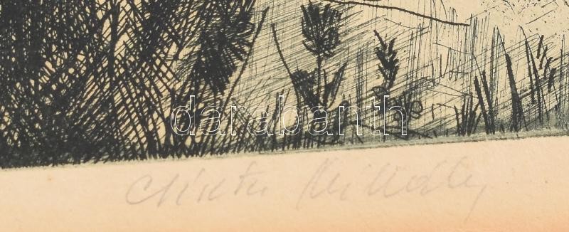 Csisztu Mihály (1933-2008): Rózsadombi táj. Rézkarc, papír, kartonra kasírozva, jelzett, foltos, sérült, 29×54 cm - Image 2