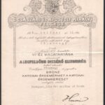 1916 Bronz katonai érdemérem adományozó oklevél Hazai Samu hadügyminiszter sokszorosított aláírásával