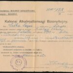 1942-1944 Katonai iratok: alkalmatlansági bizonyítvány, dicséret kitüntetés alkalmából, 2 db