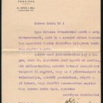 1942-1944 Katonai iratok: alkalmatlansági bizonyítvány, dicséret kitüntetés alkalmából, 2 db - Image 2