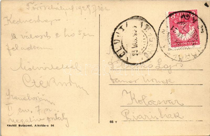 1929 Törökbálint, Szanatórium fekvő hely - Image 2