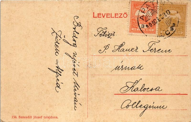 1909 Apatin, mozaiklap. 156. Szavadill József kiadása / multi-view postcard (EK) - Image 2