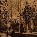 1910 Apatin, Fő utca. 254. Glasz kiadása / Hauptstrasse / main street (EK)