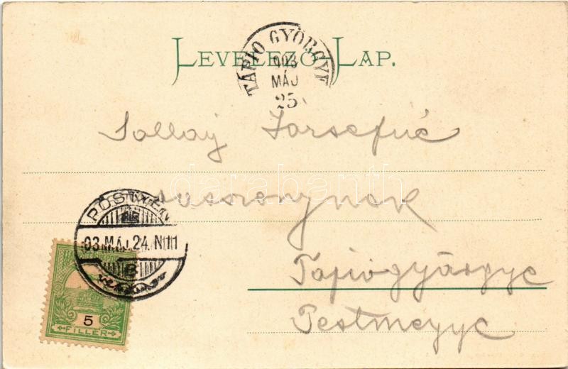 1903 Pöstyén, Pistyan, Piestany; Neue Parkallee / Park / park - Image 2