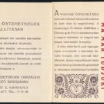 1934 A magyar őstehetségek kiállítási prospektusa, kihajtható, Bp., Athenaeum-ny. - Image 2