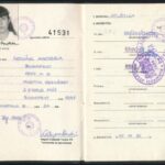 1951-1990 3 db fényképes játékvezetői-versenybírói igazolvány - Image 2