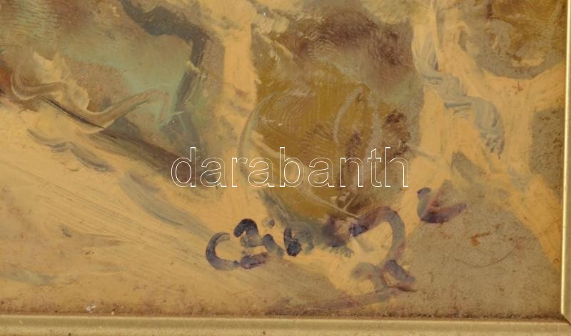 Czinege Zsolt (1964-): Szentendre. Olaj, farost, jelzett. 50×35 cm, dekoratív fakeretben. - Image 2