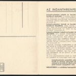 cca 1930-1940 Gönczi-Gebhardt Tibor (1902-1994): Az Indanthrenfestés, prospektus, 2 sztl. lev. - Image 2