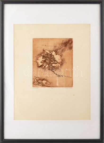 Almásy Aladár (1945-): Tüdő tangó. Színezett rézkarc, papír, sorszámozott, 12/25, jelzett, keretben 25x20 cm