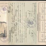 1942 Honvéd hadnagy számára kiállított fényképes vadászjegy