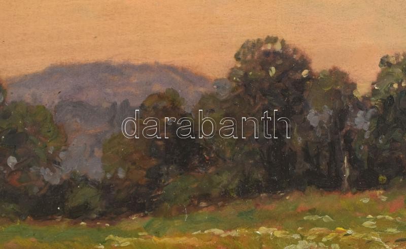 Bosznay István (1868-1944): Nyári rét, 1928. Olaj, falemez, jelezve jobbra lent. Dekoratív fakeretben, keret hátoldalán Blattner Gyula debreceni képkeretező korabeli címkéjével. 13,5×21 cm - Image 2