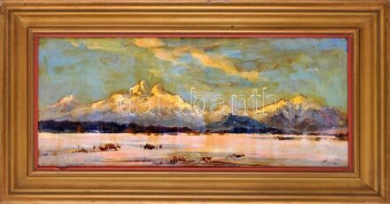 Olvashatatlan jelzéssel, magyar festő, XX. sz. első fele: Hegyvidéki táj (Tátra?). Olaj, karton. Dekoratív, régi sérült fakeretben, 35×79 cm