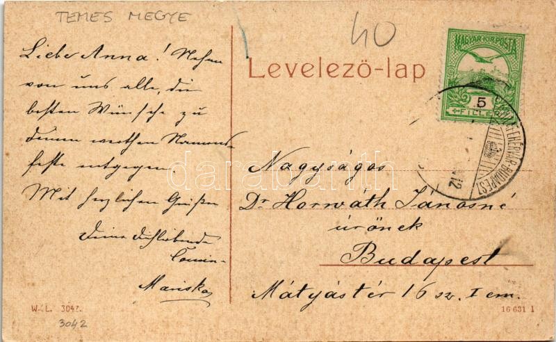 Lippa, Lipova; Maros folyó vashídja. W.L. 3042. / Eisenbrücke über Maros-Fluss / Mures riverside, iron bridge - Image 2