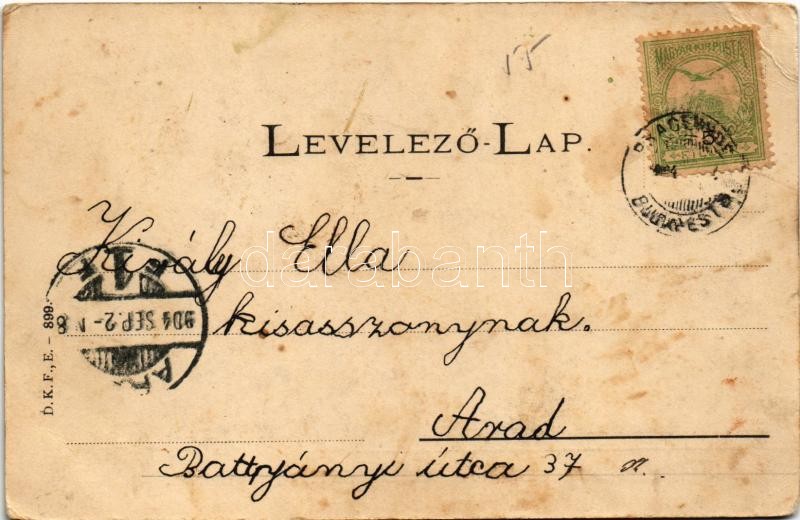 1904 Balaton vidéke, juhnyáj, magyar folklór. D.K.F.E. 899. (EB) - Image 2