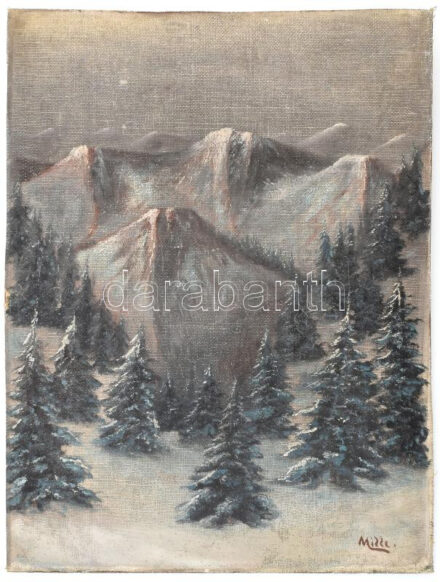 Mille jelzéssel: Téli táj. Olaj, vászon, falemezen. Dekoratív, kissé sérült fakeretben, 55×43 cm