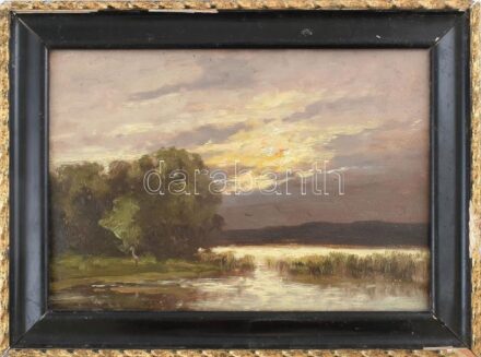 Olvashatatlan jelzéssel: Viharos vízparti táj. Olaj, karton. Dekoratív, sérült fakeretben. 24×33,5 cm