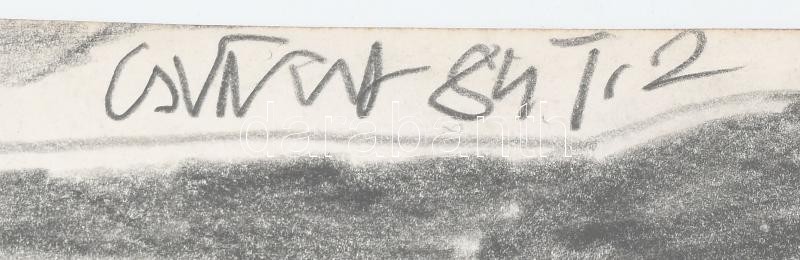 Csepeli Németh Miklós (1934-2012): Női akt társaságban, 1984. Ceruza, papír, jelzett, törésnyomokkal, 49,5x30 cm - Image 2