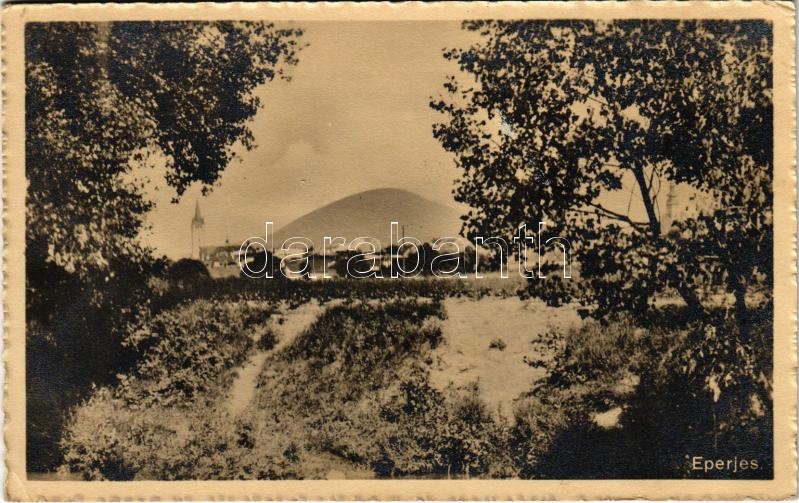 1914 Eperjes, Presov; látkép. Cattarino S. utóda Földes Samu kiadása / general view (EK)