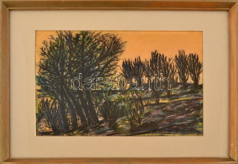 Nagy István (1873-1937): Táj fákkal. Akvarell, szén, pasztellkréta, papír. Jelezve jobbra lent. Hátoldalán Magyar Nemzeti Galéria 241/971 bírálati számával ellátott címke. A bírálat megerősíti az aukciónkon szereplő tétel