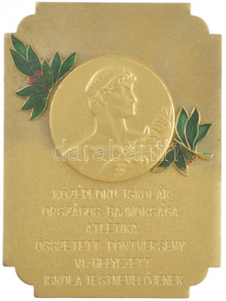 ~1960. 'Középfokú Iskolák Országos Bajnoksága - Atlétika összetett pontverseny VI. helyezett iskola testnevelőjének' részben zománcozott fém emlékplakett eredeti tokban (70x95mm) T:2
