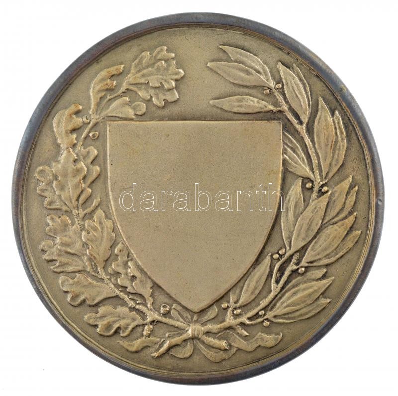 Berán Lajos (1882-1943) ~1930. 'Országos Testnevelési Tanács' ezüsötzött bronz emlékérem eredeti tokban (60mm) T:1- - Image 2