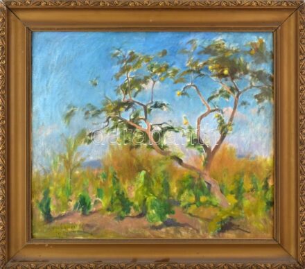 Benkhard Ágost (1882-1961): Napfényes táj, 1932. Olaj, vászon, jelezve balra lent. Dekoratív, kissé sérült fakeretben, 60×70 cm / oil on canvas, signed lower left, framed