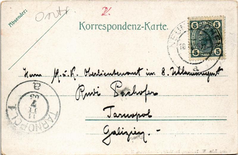 1905 Neunkirchen, Idylle an der Schwarzau / riverside, bridge (EK) - Image 2