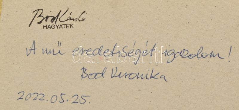 Bod László (1920-2001): Barcsay mester. Tus, papír, jelzés nélkül. Hátoldalán hagyatéki bélyegzővel és a lánya, Bod Veronika igazolásával. 16x10 cm. Üvegezett fakeretben. - Image 4