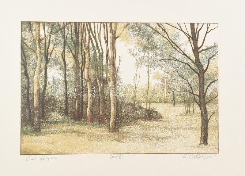 Keleti Jenő, ifj. (1943-1999): Őszi fények. Linómetszet, papír. Jelzett, számozott (100/97), bal alsó sarkában kissé foltos, 20x30 cm