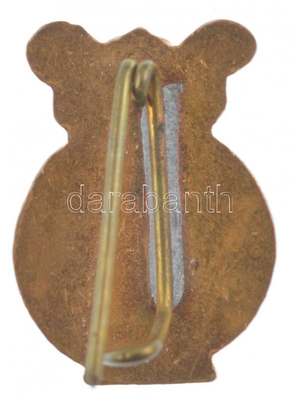 1904. 'Evangélikus Dalkör' zománcozott fém jelvény T:1- apró zománchibák - Image 2