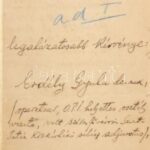 1931 Erdélyi Gyula orvos kérvénye, melyben egy főorvosi álláshely elnyerését kérvényezi Horthynál - Image 4