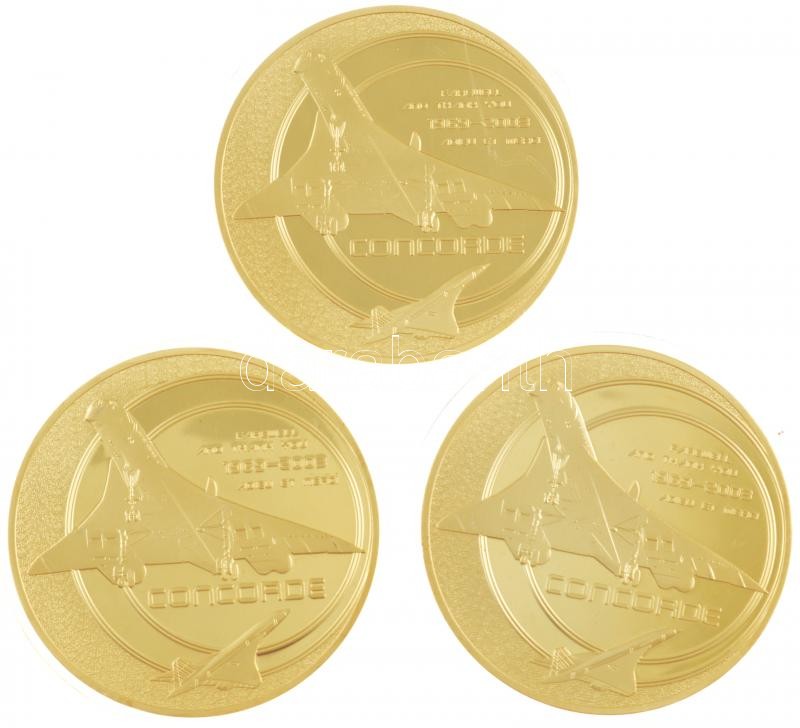 DN 3 darabos, mind különféle, a Concorde repülőgép típust ábrázoló aranyozott, részben multicolor festett emlékérem (70mm) T:PP kis fo. - Image 2