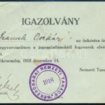 1918 Békéscsaba az Önkéntes Őrsereg igazolványa a Nemzeti Tanácstól decemberi keltezéssel