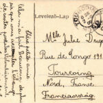 1909 Békés, arató ünnep magyar címeres zászlóval. Véver Oszkár kiadása 1259. TCV card (EK) - Image 2