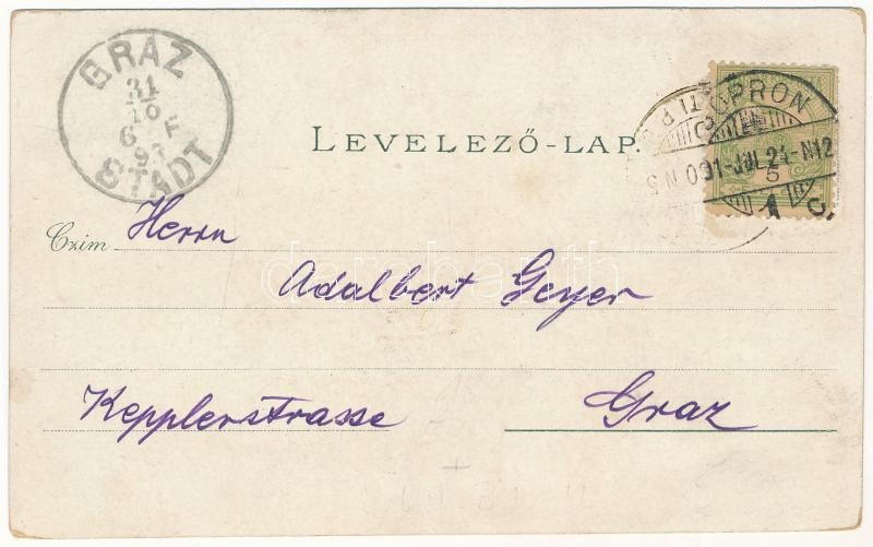 1893 (Vorläufer) Budapest, Királyi vár és várbazár, Lánchíd. Art Nouveau, floral, litho - Image 2