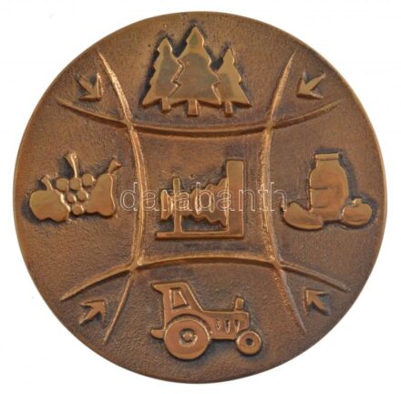 1980. 'Nemzetközi Fotóművészeti Kiállítás Budapest 1980 - International Exhibiton of Photography' kétoldalas, öntött bronz plakett (98mm) T:1-