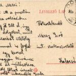 1910 Dömsöd, Dunai Szigetjáró. Wiesel Izrael kiadása - Image 2