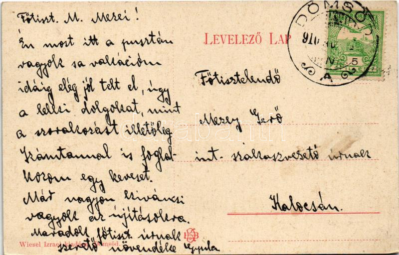 1910 Dömsöd, Dunai Szigetjáró. Wiesel Izrael kiadása - Image 2