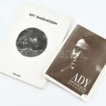 Ady Emlékmúzeum Budapest, 2 db album fekete-fehér képekkel, kiadói papírmappában