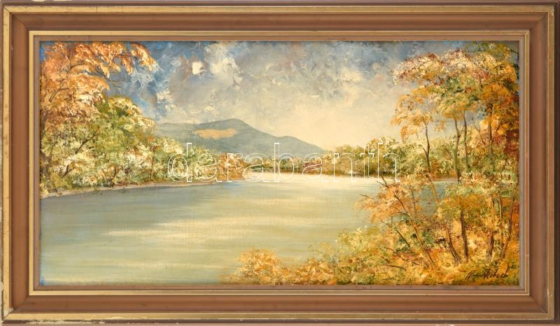 Andrásy Róbert (?-?): Horány. Olaj, vászon, faroston. Fa keretben. Hátoldalán címkén feliratozott. Fakeretben. 36x69 cm