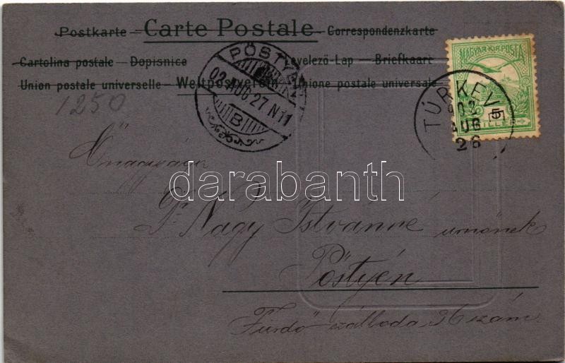1902 Art Nouveau lady. Emb. litho (EK) - Image 2