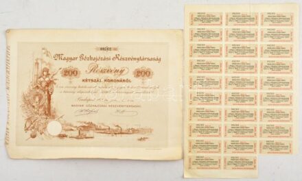 Budapest 1894. 'Magyar Gőzhajózási Részvénytársaság' részvénye 200K-ról, szelvényekkel, szárazpecséttel, hátoldalon kézírásos megjegyzéssel T:III ly.