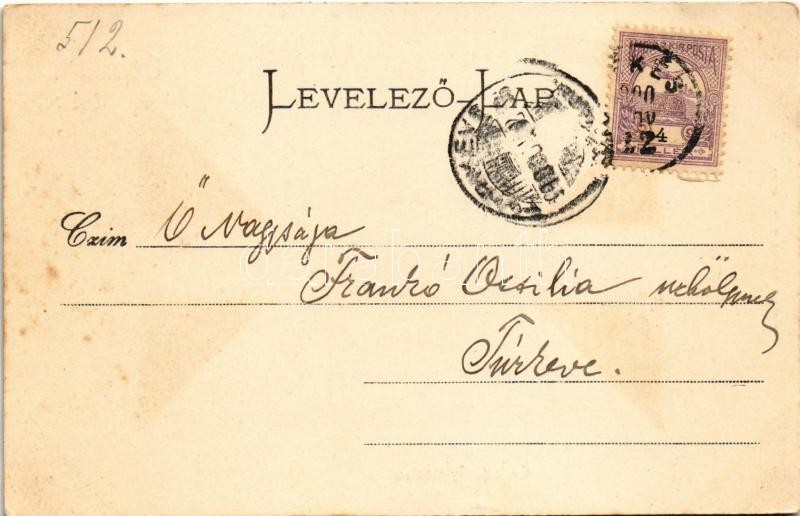 1900 Békés, Református gimnázium. Véver Oszkár kiadása (EK) - Image 2
